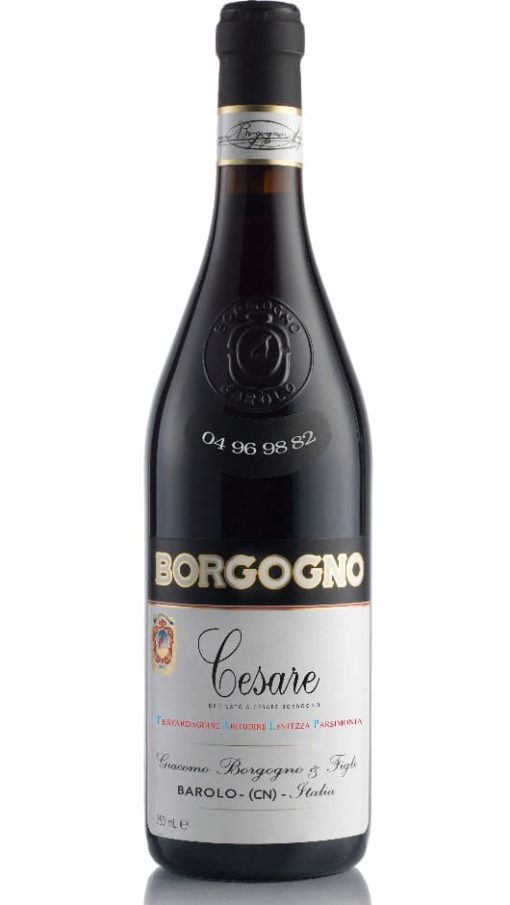 Barolo Cesare - Assemblaggio di 4 annate '04 '96 '98 '82 - Borgogno