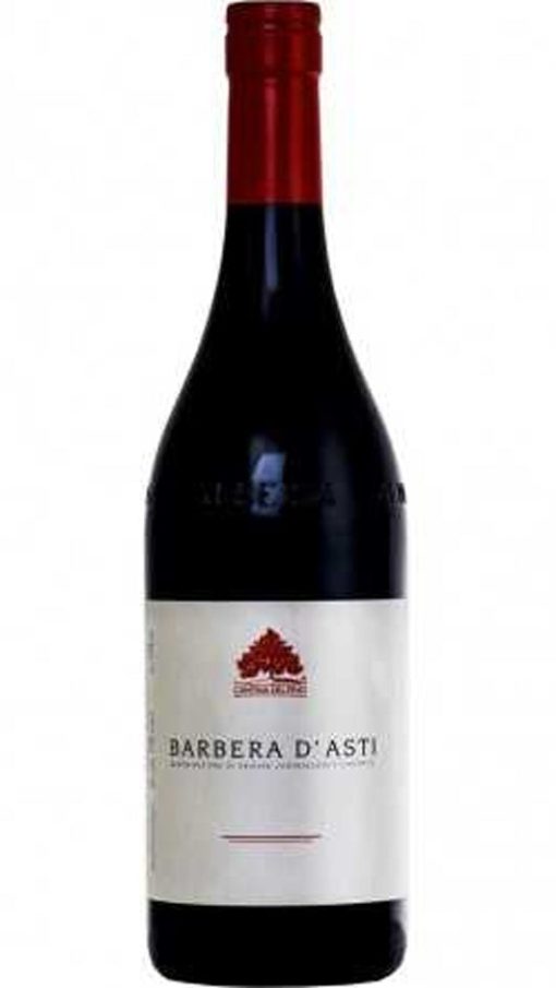 Barbera d'Asti DOCG - Cantina del Pino