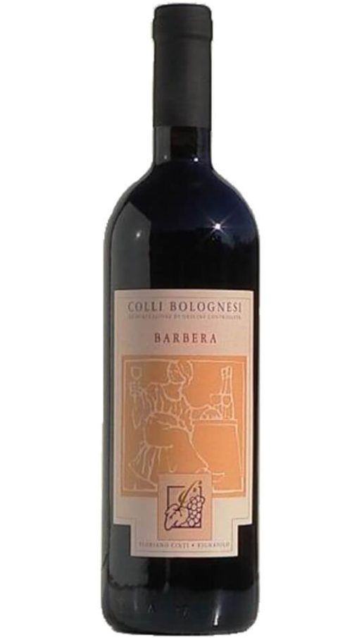 Barbera Colli Bolognesi DOC - Cinti Floriano