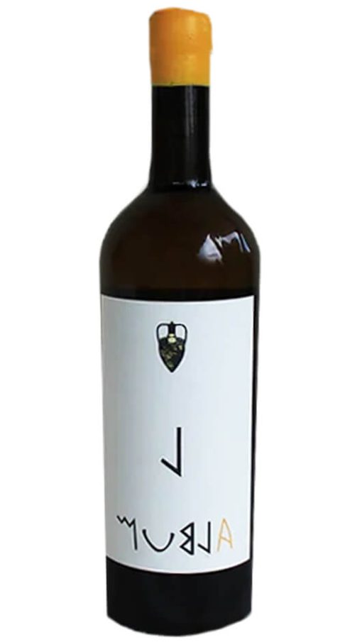 Bianco IGP BIO - Album - Etruscawine