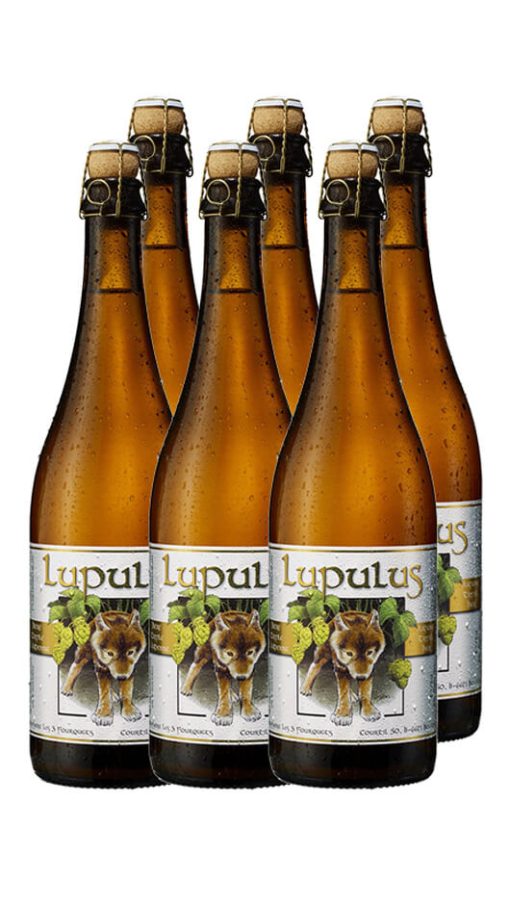 Strong Belgian Ale - Lupulus 75cl - Cassa da 6 Bott.