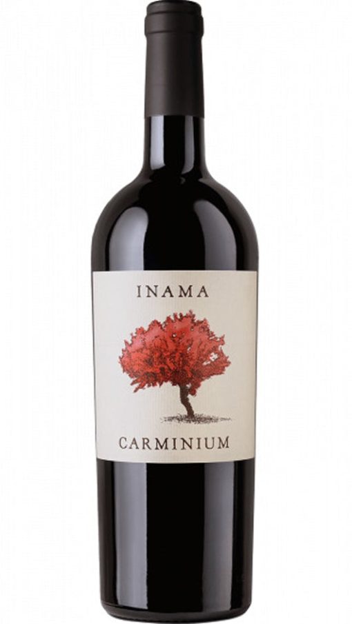 Carminum Carmenere Colli Iberici DOC 2020 - Inama