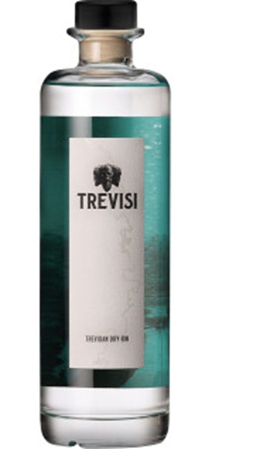 Gin Trevisi 70cl