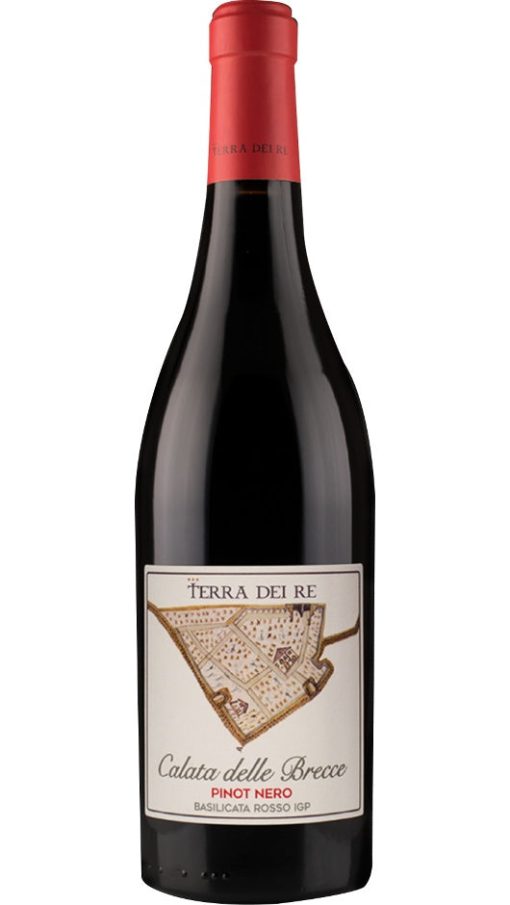 Pinot Nero IGP - Calata Delle Brecce - Terra dei Re