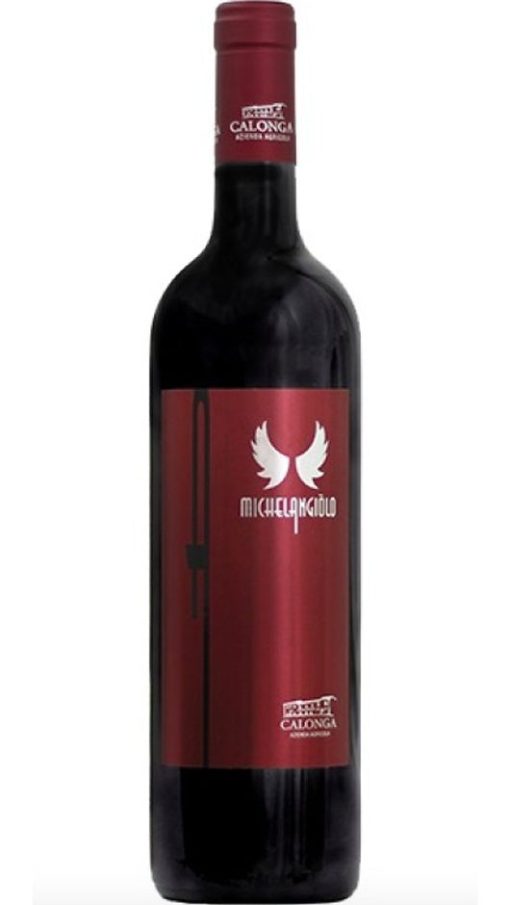 Sangiovese Romagna Superiore Riserva DOC - Michelangiolo - Calonga