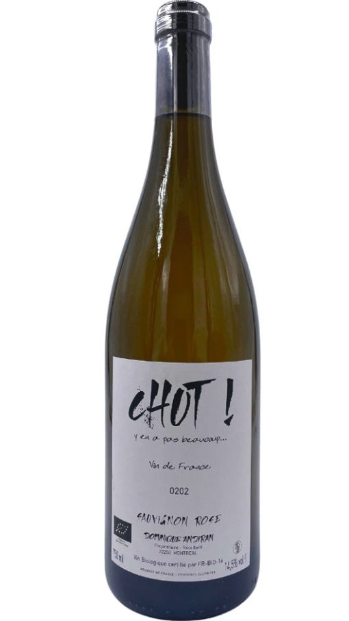 Blanc Sec Chut! 0202 - Domaine Dominique Andiran