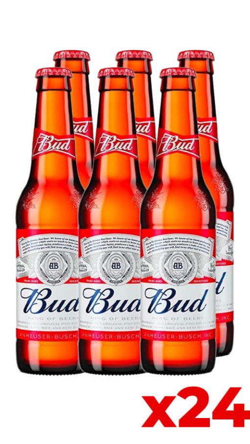 Bud 33cl - Cassa da 24 bott.