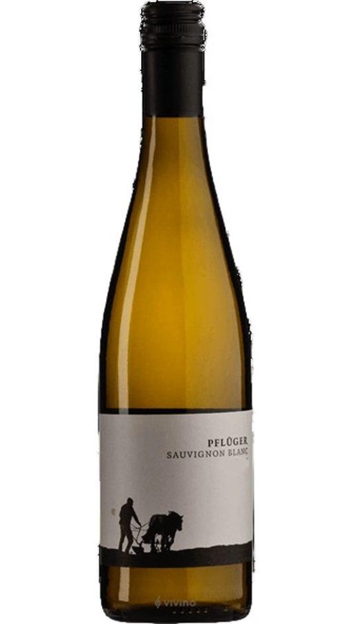 Sauvignon Blanc Palatinate - Magnum - Weingut Pfluger