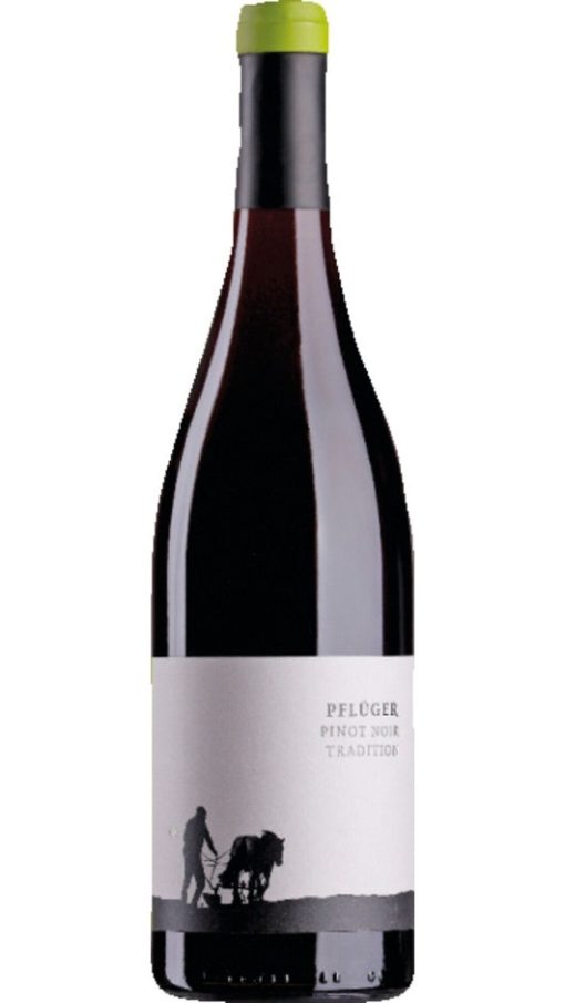 Tradition Pinot Noir Palatinate - Weingut Pfluger